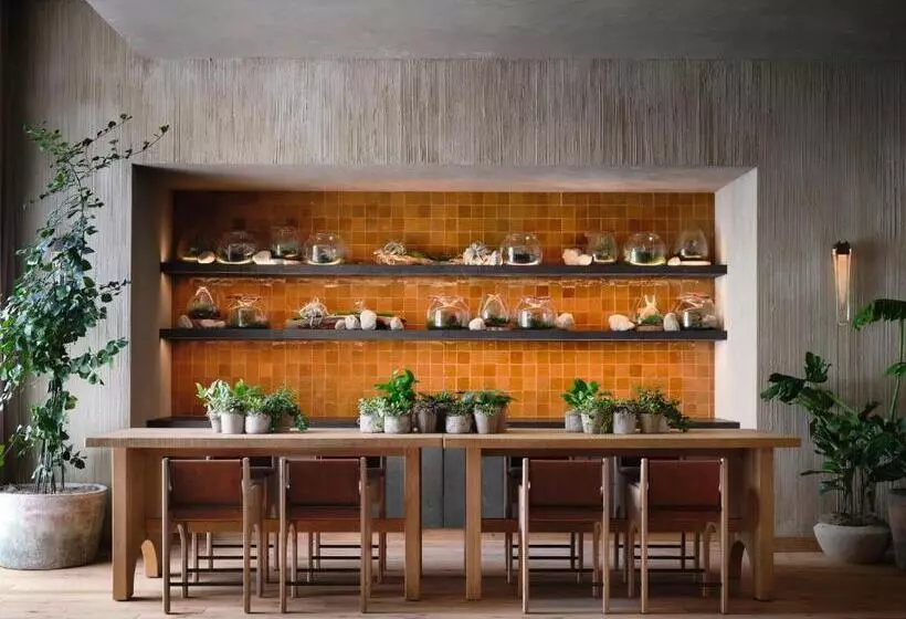 1 Hotel San Francisco