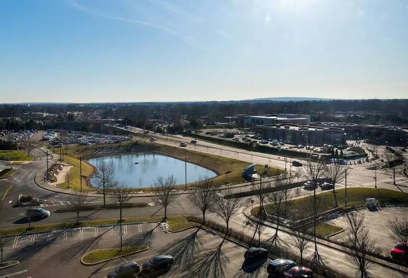 酒店 Bridgewater Marriott