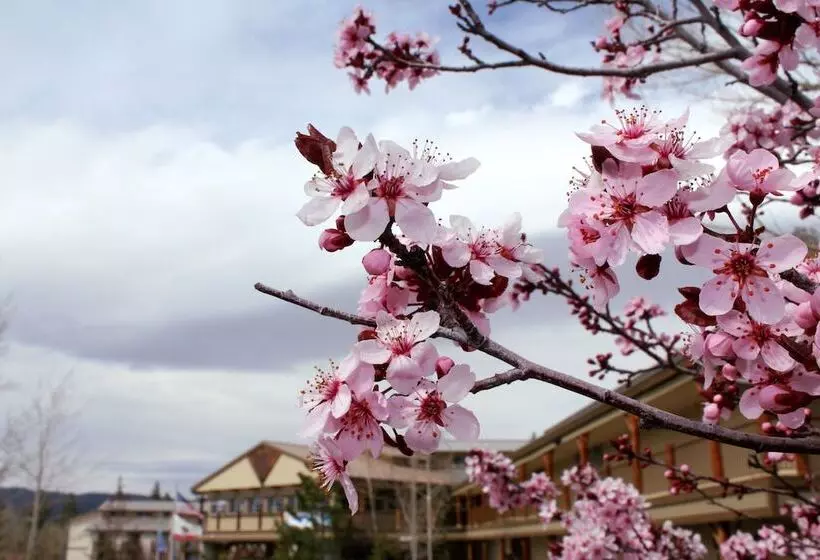 فندق Holiday Inn Resort The Lodge At Big Bear Lake, An Ihg