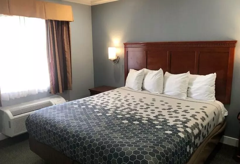 酒店 Redondo Inn And Suites