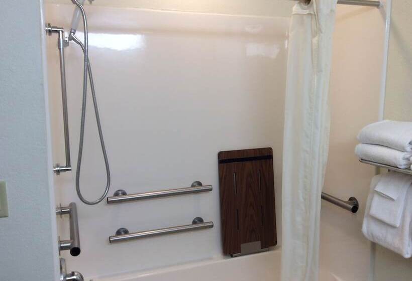 Microtel Inn & Suites By Wyndham Rice Lake