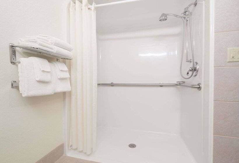 Microtel Inn & Suites By Wyndham Rice Lake