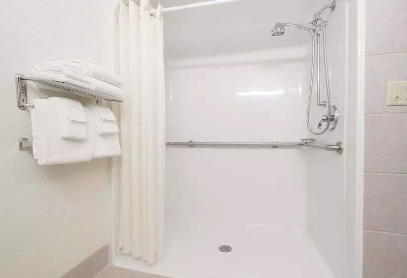 Microtel Inn & Suites By Wyndham Rice Lake