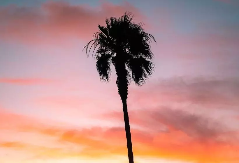 فندق على الطريق Del Mar Beach