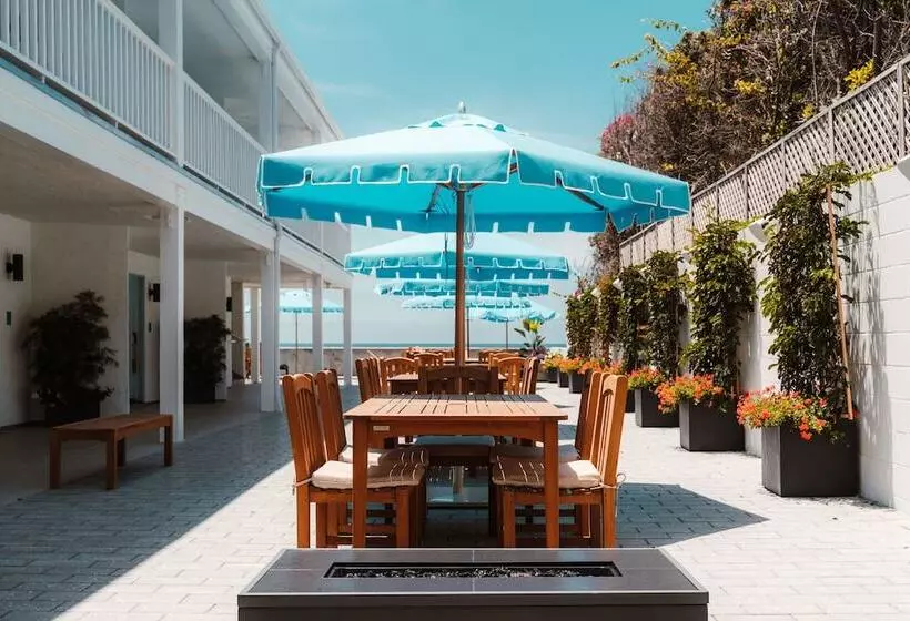 فندق على الطريق Del Mar Beach