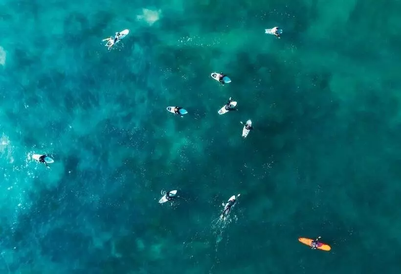 فندق على الطريق Del Mar Beach