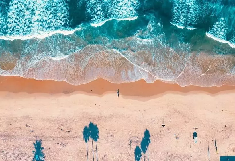 فندق على الطريق Del Mar Beach