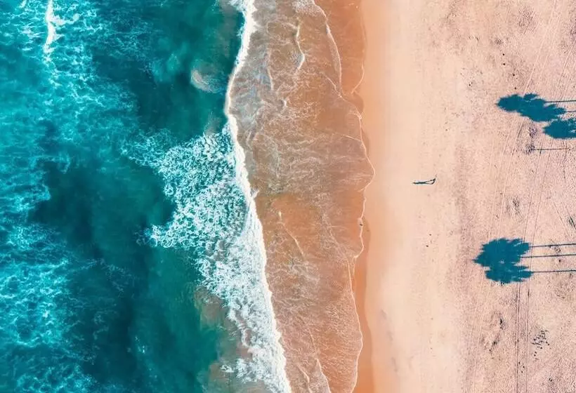 فندق على الطريق Del Mar Beach