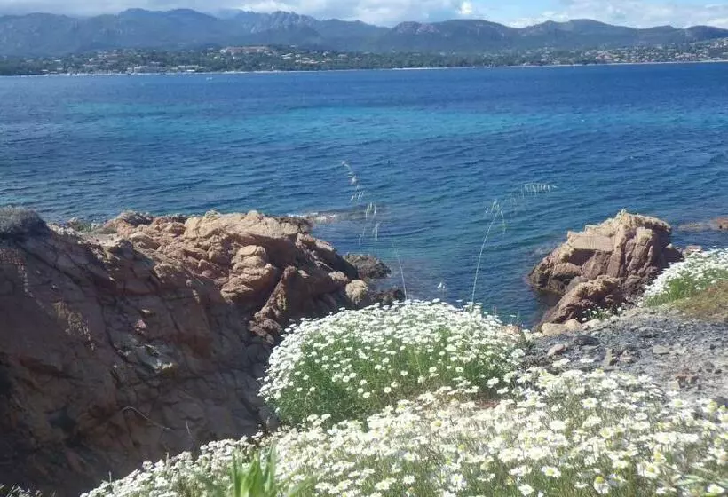 ホテル Hôtel Du Golfe Pinarello