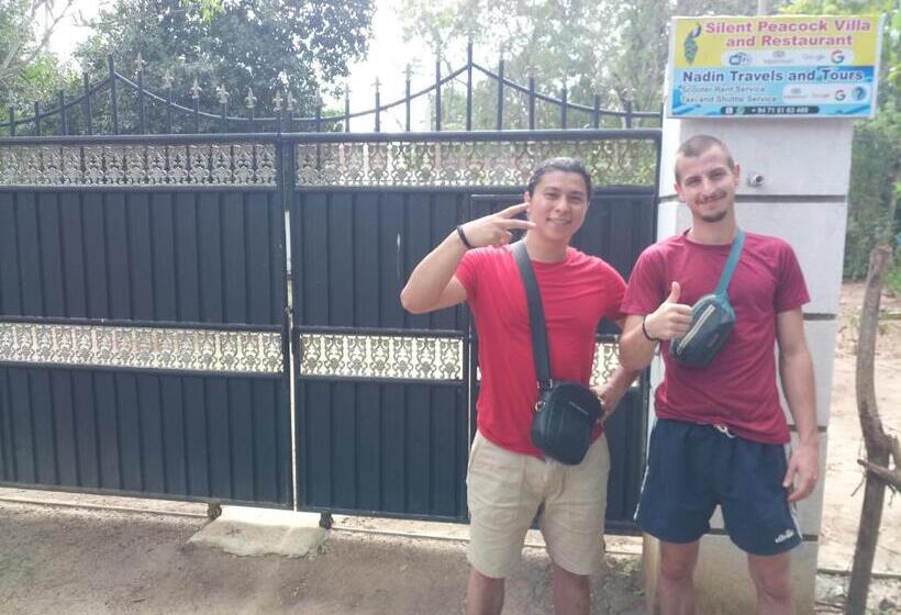 Отель Silent Peacock Villa And Peacock Cafe