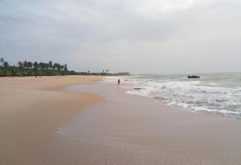 Отель Silent Peacock Villa And Peacock Cafe