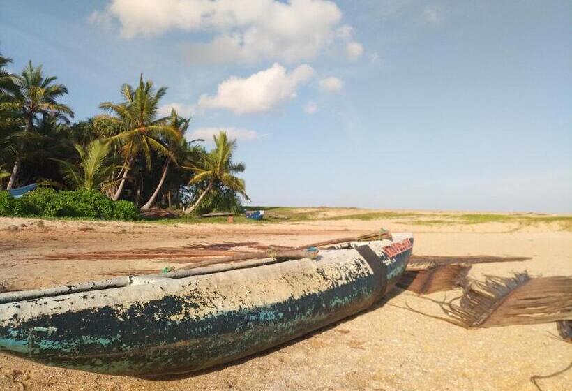 Отель Silent Peacock Villa And Peacock Cafe