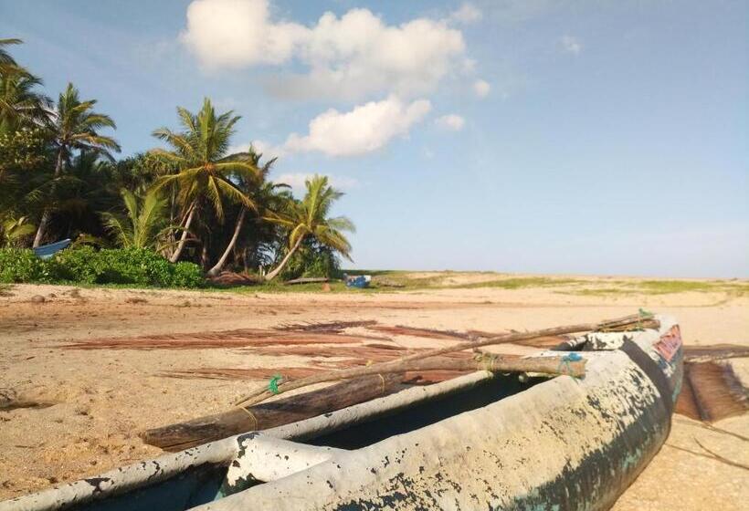 Отель Silent Peacock Villa And Peacock Cafe