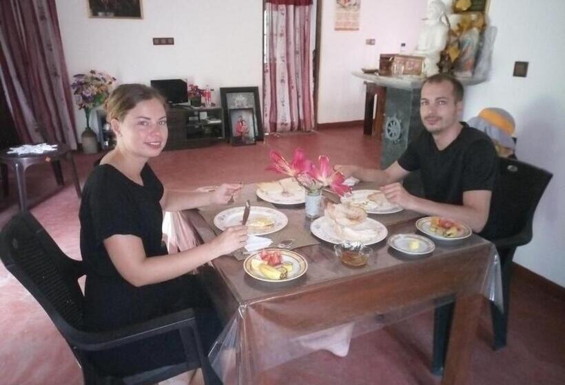 Отель Silent Peacock Villa And Peacock Cafe