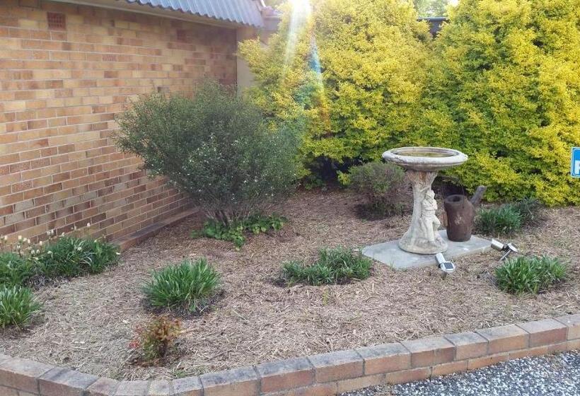 汽车旅馆 Tally Ho Motor Inn