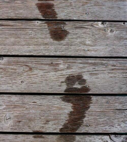 Пансион Landhaus Alfred Wunder