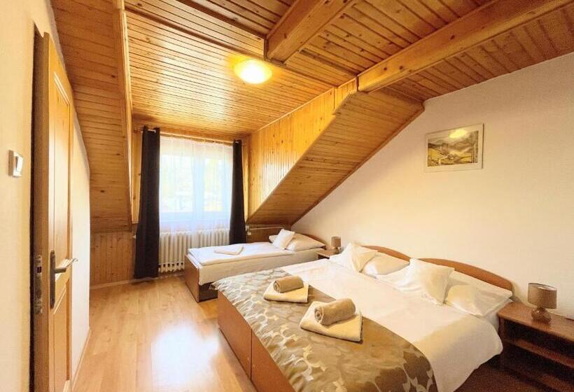 膳宿费 Spa & Wellness Penzión Zorhill