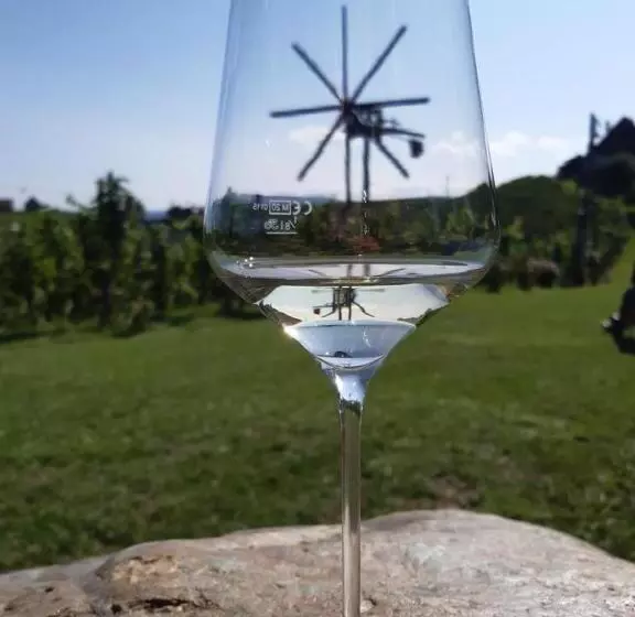 ペンション Zweytick Gästezimmer Weingut