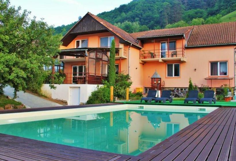 Pensiunea Sighisoara