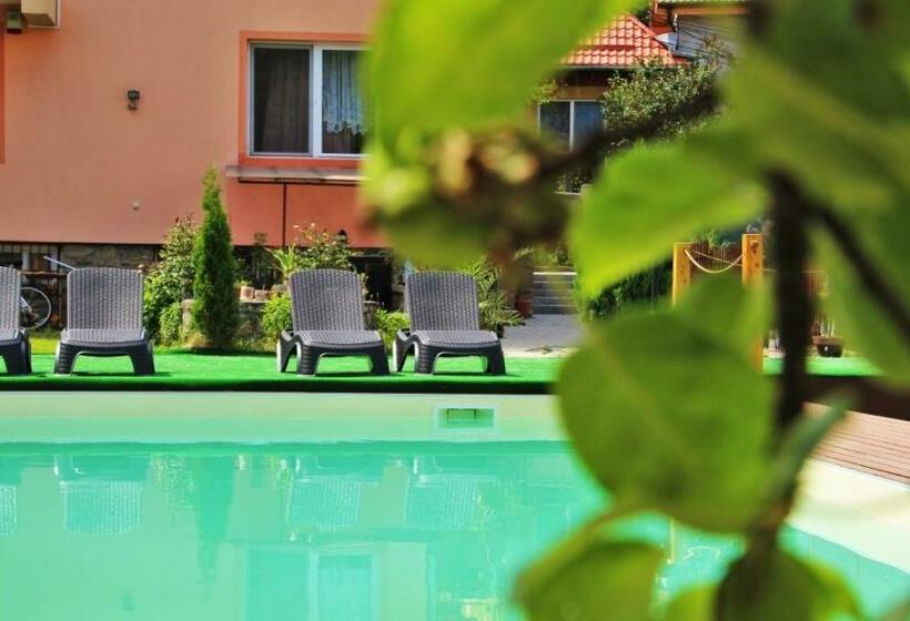 Pensiunea Sighisoara