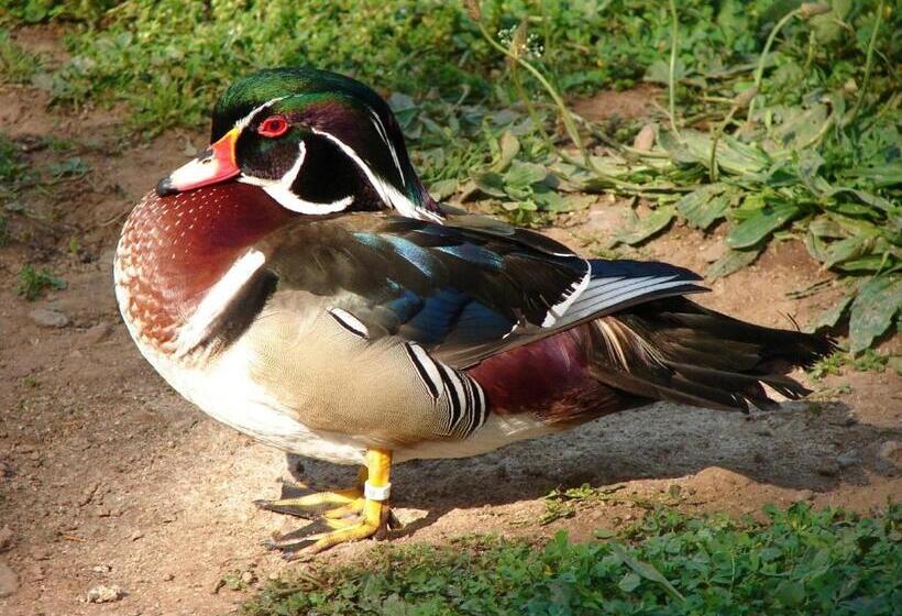 住宿加早餐 Le Moulin