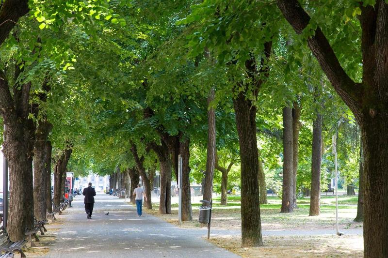 Dipendenza Hotel Londra