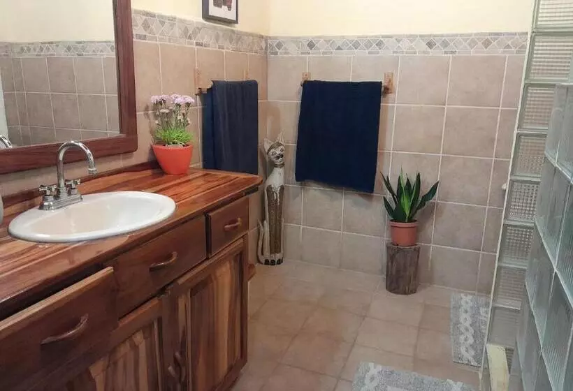 Majatalo Casas Guaney, Full Furnished Studios!