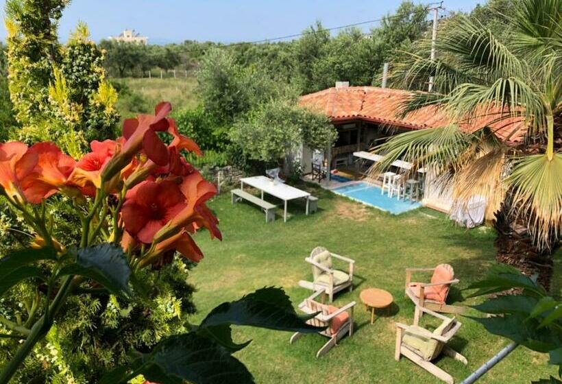 پانسیون Green House