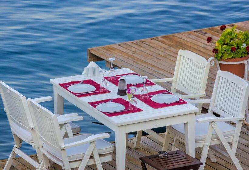 ペンション Losta Sahil Evi 2