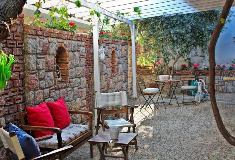 ペンション Losta Sahil Evi 2