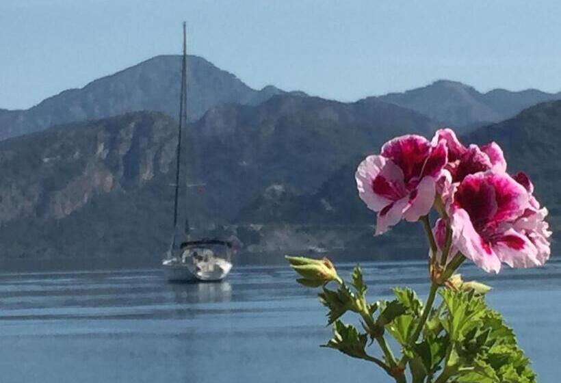 ペンション Losta Sahil Evi 2