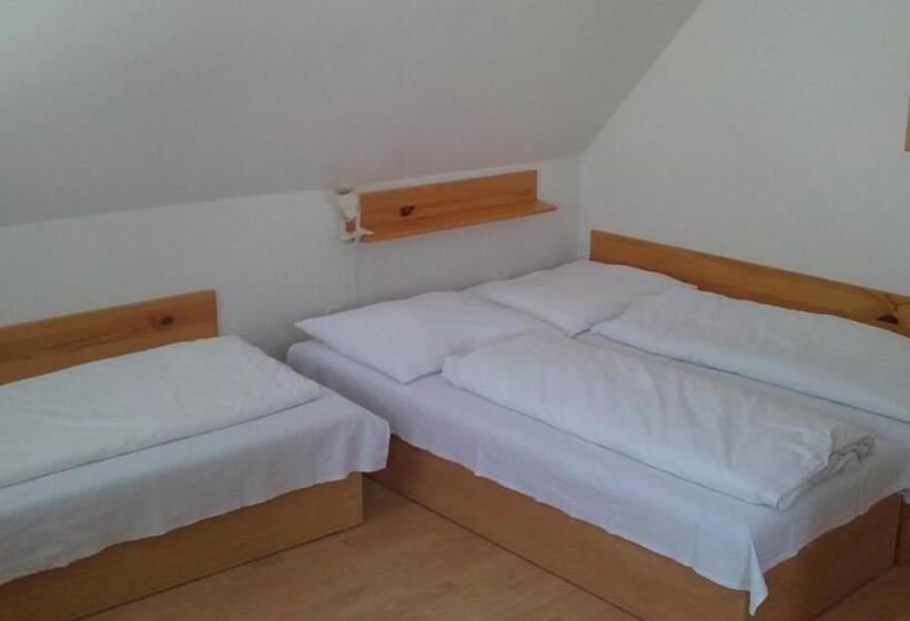 פנסיון Penzión U Johna