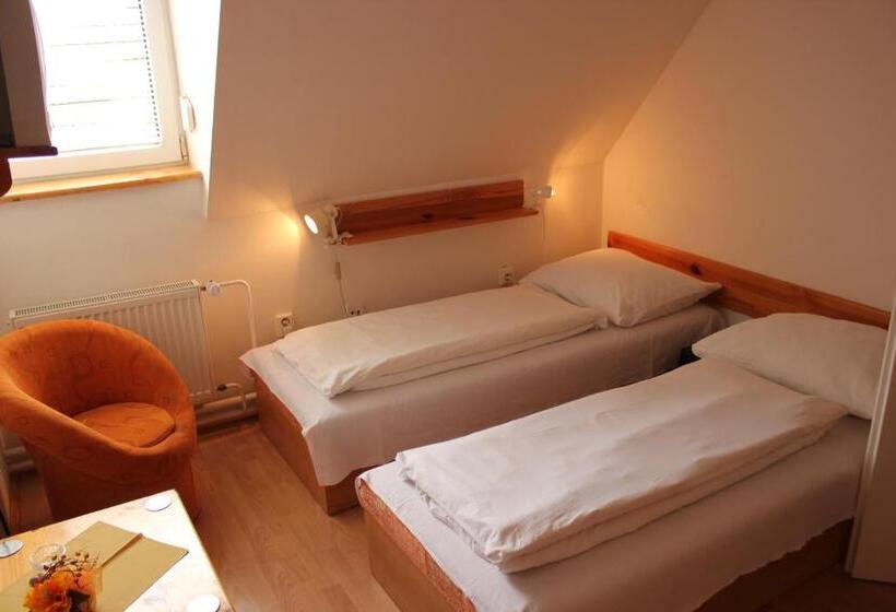 פנסיון Penzión U Johna