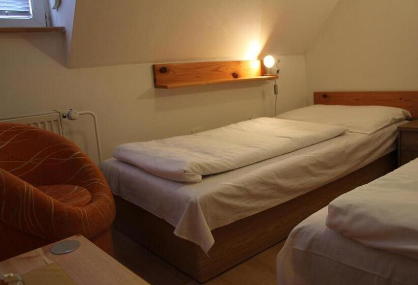 פנסיון Penzión U Johna