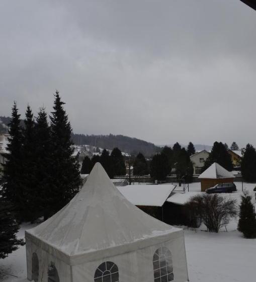 Pensjonat Penzion Lipůvka