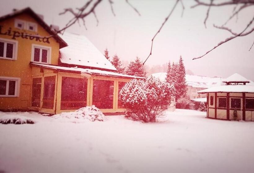 Pensjonat Penzion Lipůvka
