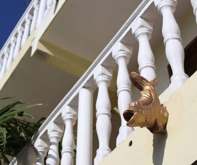 تختخواب و صبحانه Cancun Guest House 4 Terrace Tub