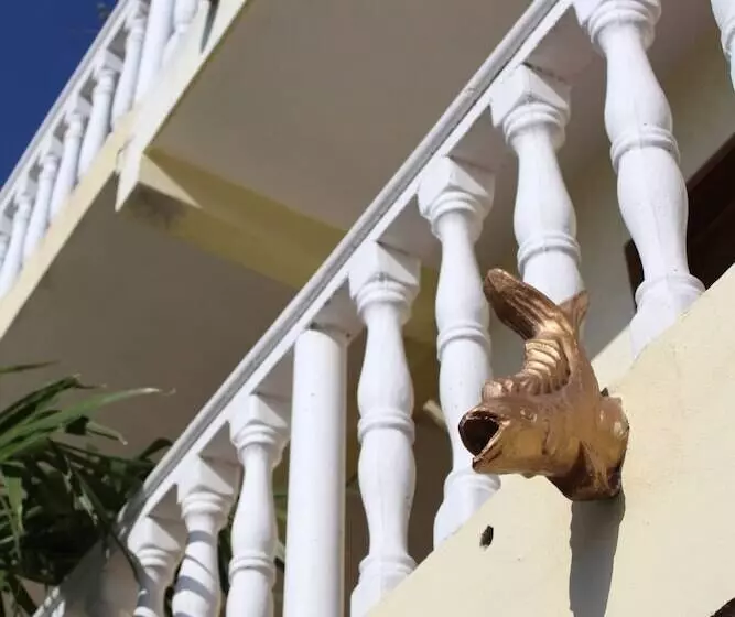 تختخواب و صبحانه Cancun Guest House 4 Terrace Tub