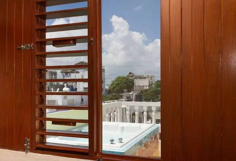 تختخواب و صبحانه Cancun Guest House 4 Terrace Tub