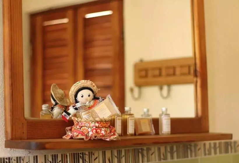 تختخواب و صبحانه Cancun Guest House 4 Terrace Tub