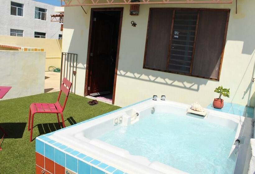 تختخواب و صبحانه Cancun Guest House 4 Terrace Tub