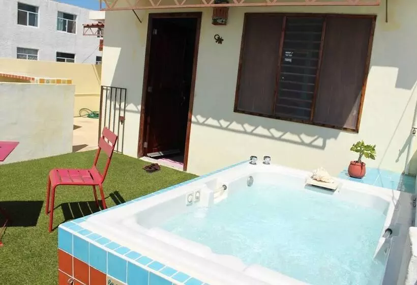 تختخواب و صبحانه Cancun Guest House 4 Terrace Tub
