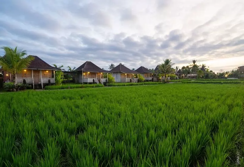 ホテル Uma Sebatu Villa