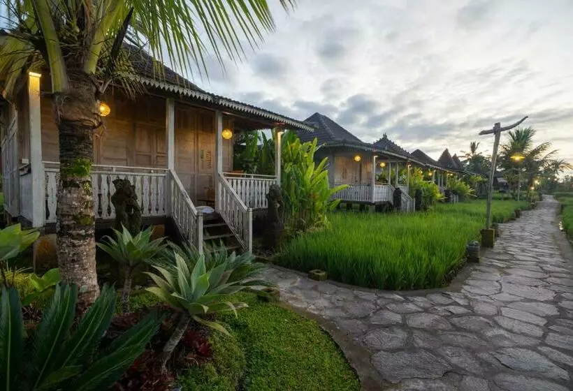 ホテル Uma Sebatu Villa