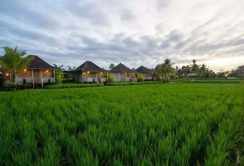 ホテル Uma Sebatu Villa