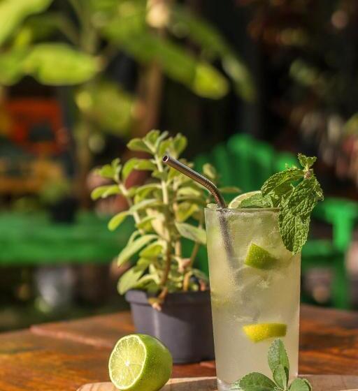 Pensão Back To The Beach Hostel Pipa