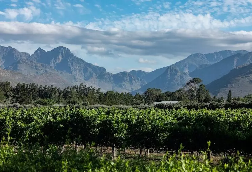 پانسیون Lynx Wine Estate