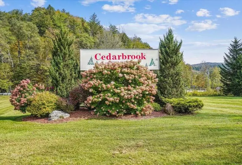 Cedarbrook Standard Hotel Room 105