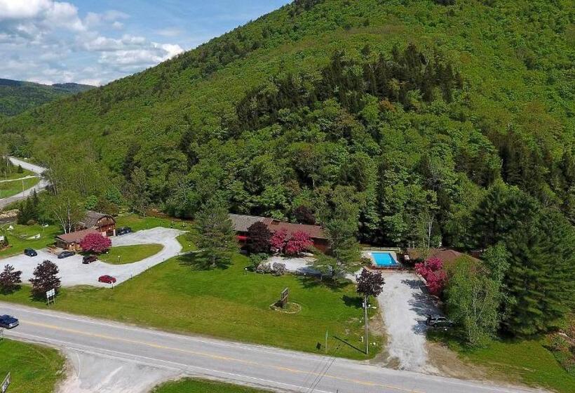 Cedarbrook Standard Hotel Room 105