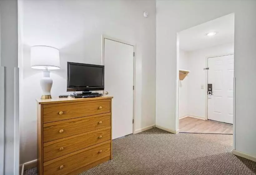 Cedarbrook Standard Hotel Room 105